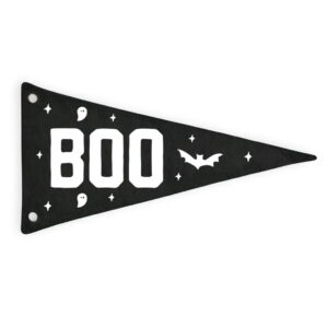 Boo Halloween Canvas Pennant Flag