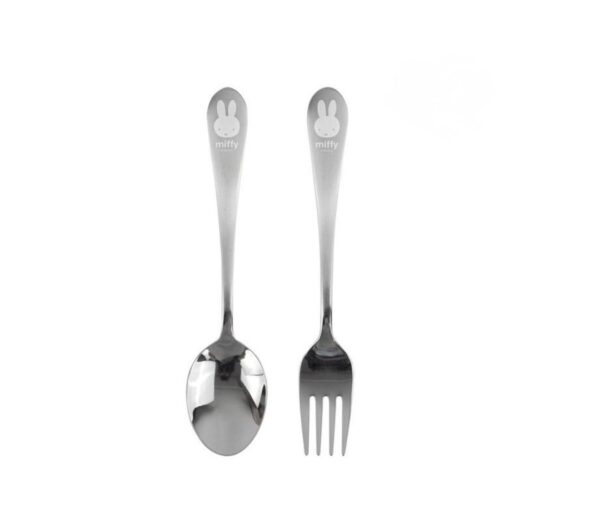 Laser Stainless Steel