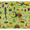 insects 2