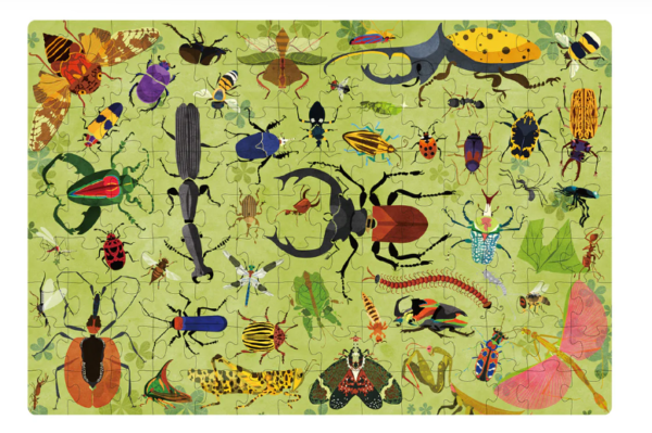 insects 2
